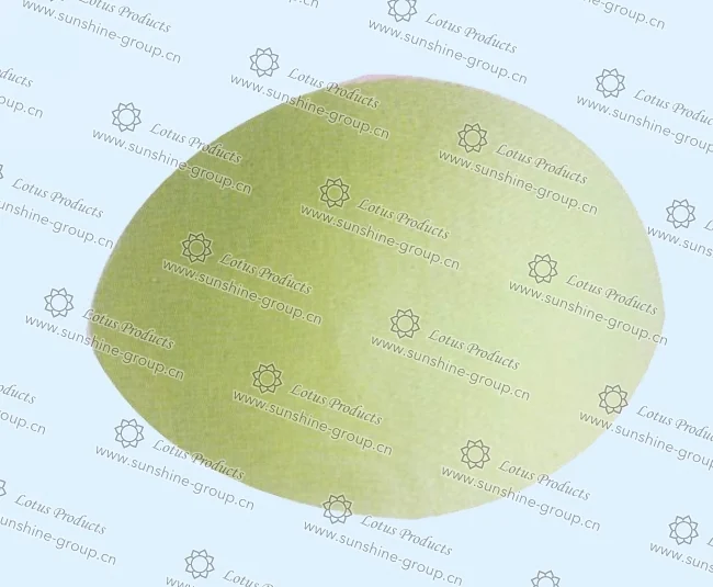 Ningbo sunshine import and export co., ltd. | bra cup (24)
