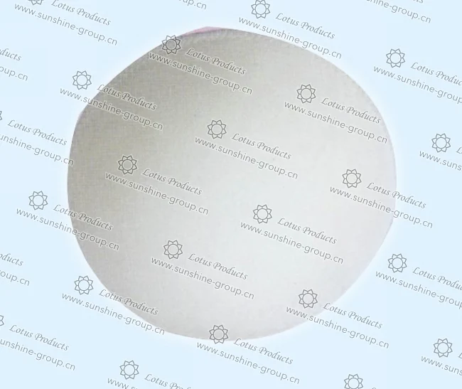 Ningbo sunshine import and export co., ltd. | bra cup (15)
