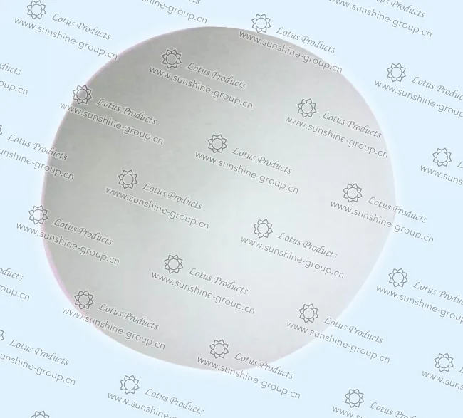 Ningbo sunshine import and export co., ltd. | bra cup (13)
