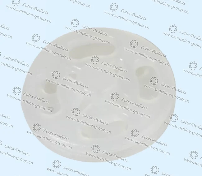 Ningbo sunshine import and export co., ltd. | bra adjuster (50)