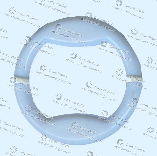 Ningbo sunshine import and export co., ltd. | bra adjuster (48)