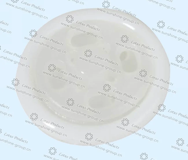 Ningbo sunshine import and export co., ltd. | bra adjuster (42)