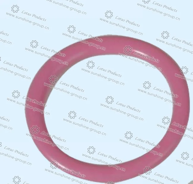 Ningbo sunshine import and export co., ltd. | bra adjuster (40)