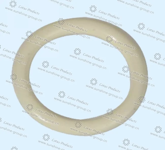 Ningbo sunshine import and export co., ltd. | bra adjuster (36)