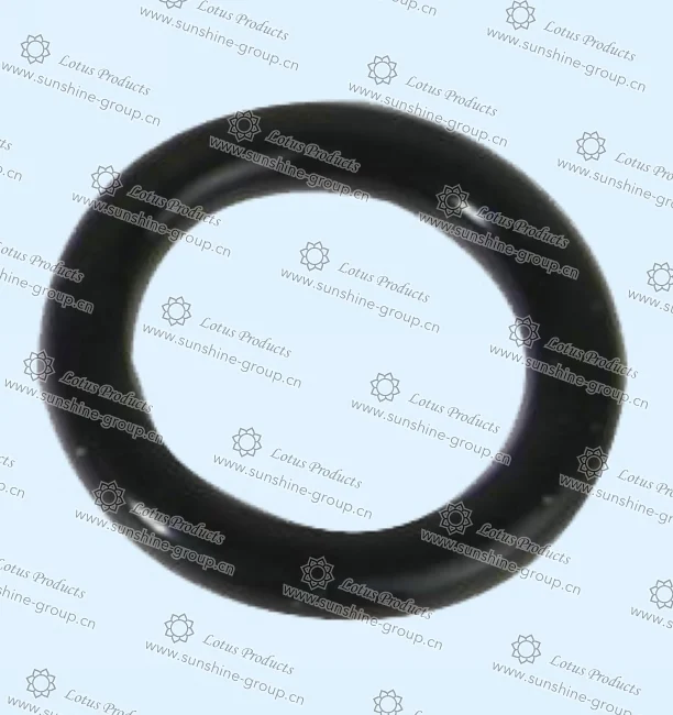 Ningbo sunshine import and export co., ltd. | bra adjuster (34)