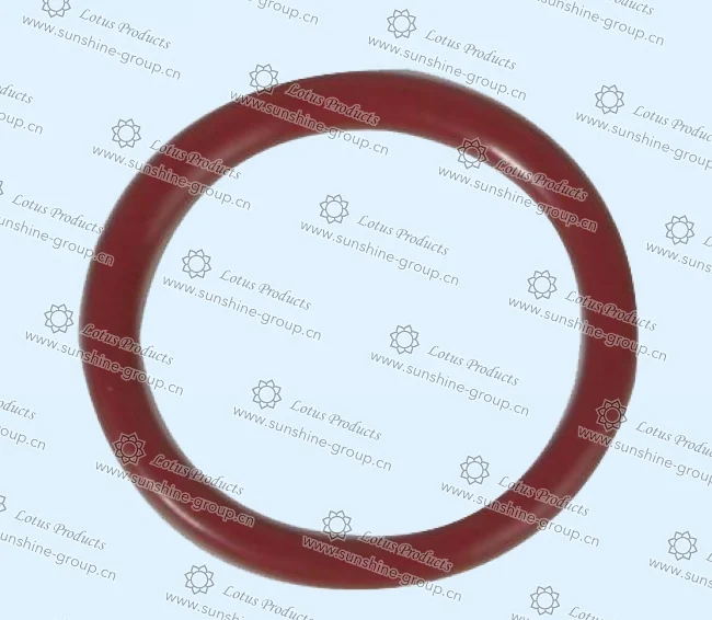 Ningbo sunshine import and export co., ltd. | bra adjuster (32)