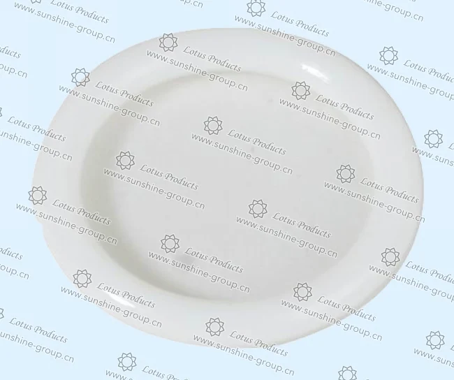 Ningbo sunshine import and export co., ltd. | bra adjuster (29)