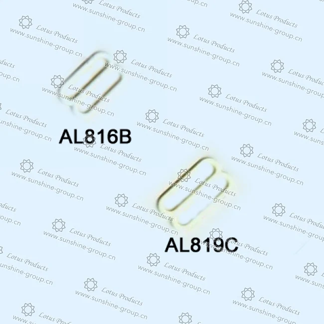 Ningbo sunshine import and export co., ltd. | bra adjuster (22)