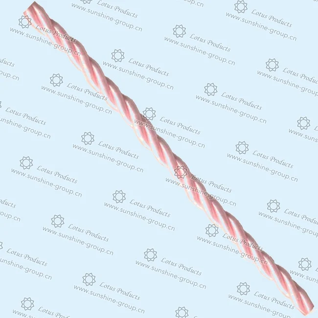 Ningbo sunshine import and export co., ltd. | nylon cord (3)