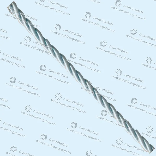 Ningbo sunshine import and export co., ltd. | nylon cord (2)
