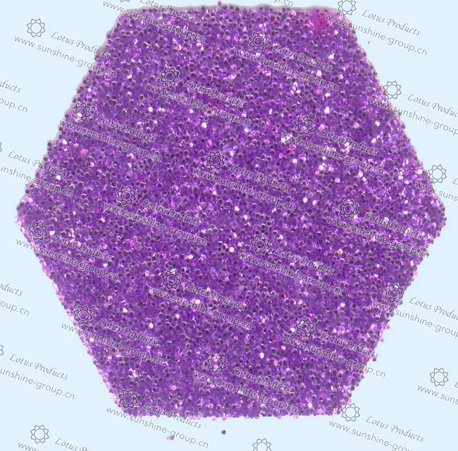 Ningbo sunshine import and export co., ltd. | glitter - a19