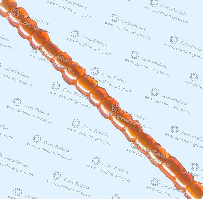 Ningbo sunshine import and export co., ltd. | trans.colours lustered 110