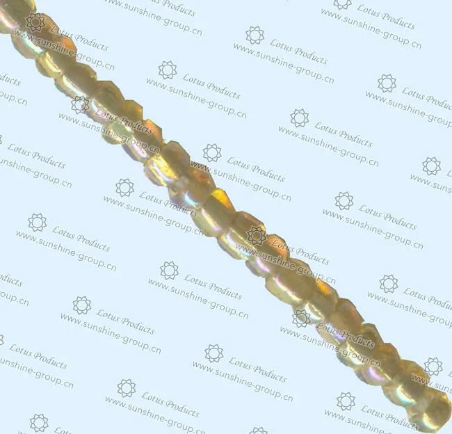 Ningbo sunshine import and export co., ltd. | silver lined s.h.rainbow 632