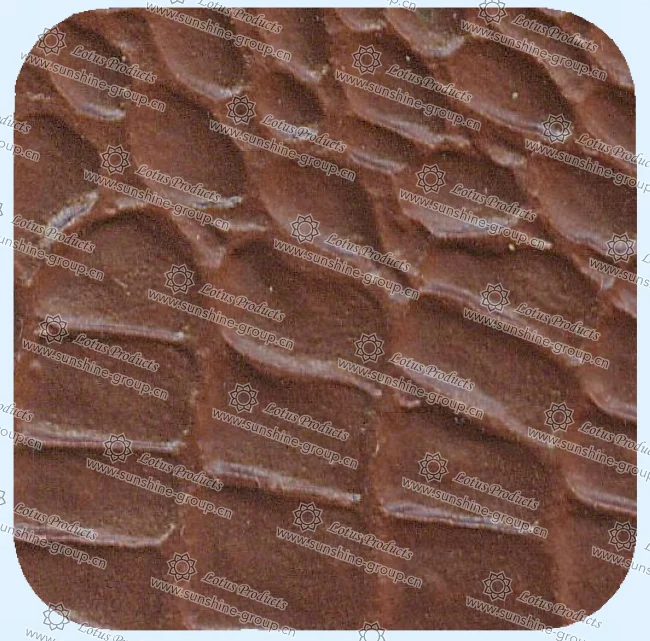 Ningbo sunshine import and export co., ltd. | leather 37