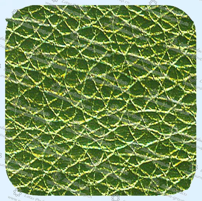 Ningbo sunshine import and export co., ltd. | leather 29