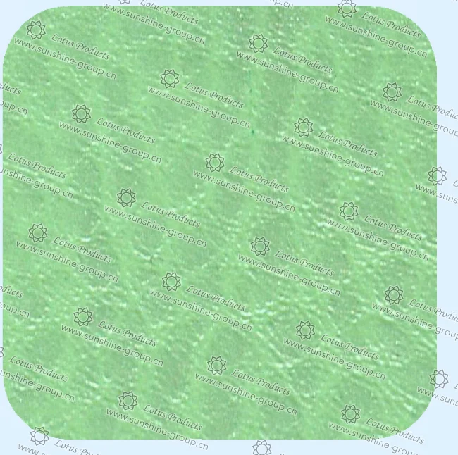 Ningbo sunshine import and export co., ltd. | leather 18