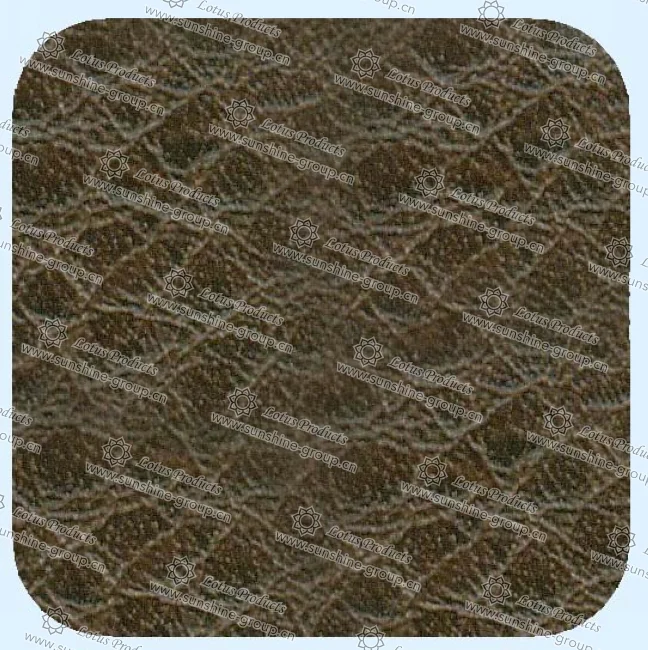 Ningbo sunshine import and export co., ltd. | leather 09