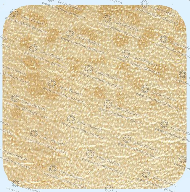 Ningbo sunshine import and export co., ltd. | leather 06