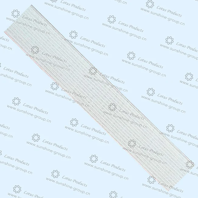 Ningbo sunshine import and export co., ltd. | elastic tape (21)