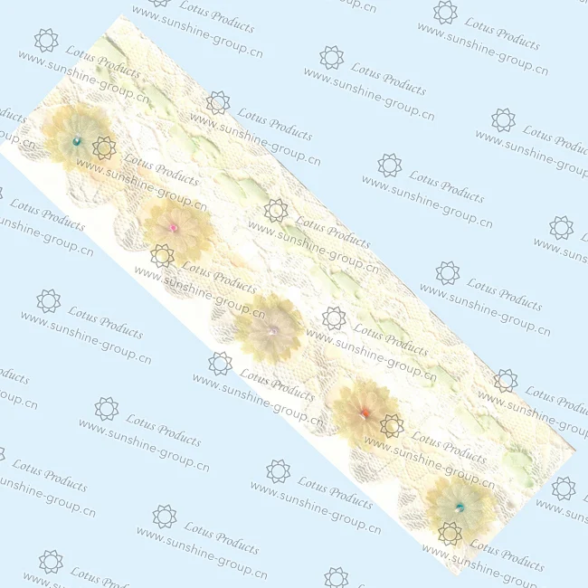 Ningbo sunshine import and export co., ltd. | trimming lace (1)