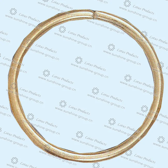 Ningbo sunshine import and export co., ltd. | d ring (2)
