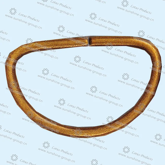 Ningbo sunshine import and export co., ltd. | d ring (7)