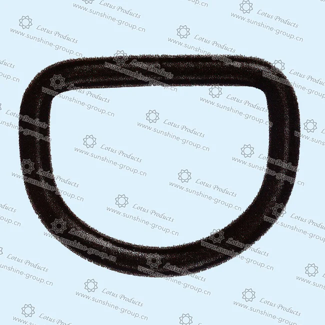 Ningbo sunshine import and export co., ltd. | d ring (8)
