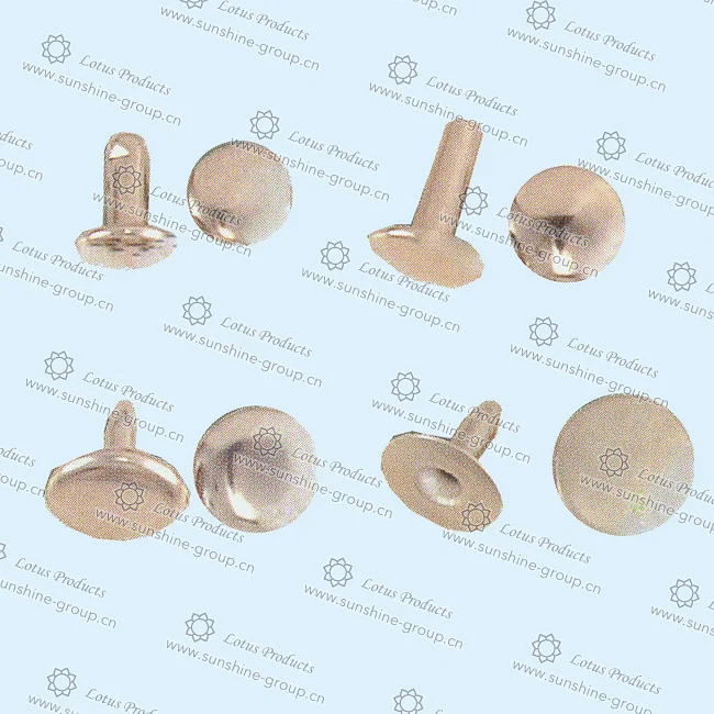 Ningbo sunshine import and export co., ltd. | rivet (4)