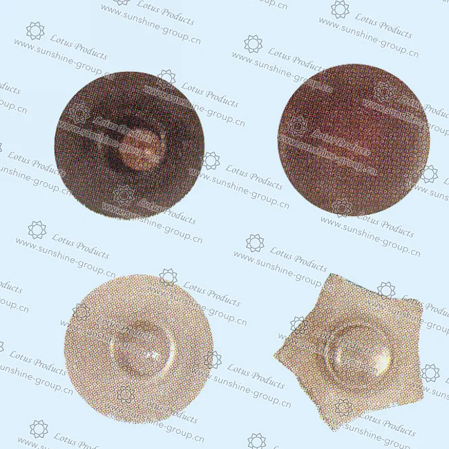 Ningbo sunshine import and export co., ltd. | rivet (7)