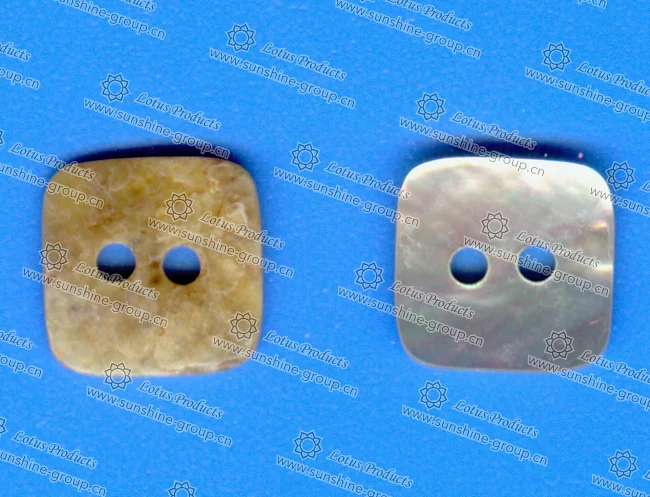 Ningbo sunshine import and export co., ltd. | abnormity shell button e