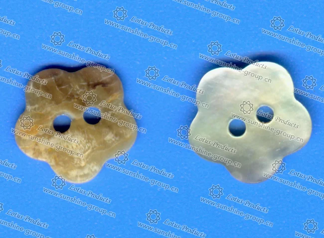 Ningbo sunshine import and export co., ltd. | abnormity shell button a