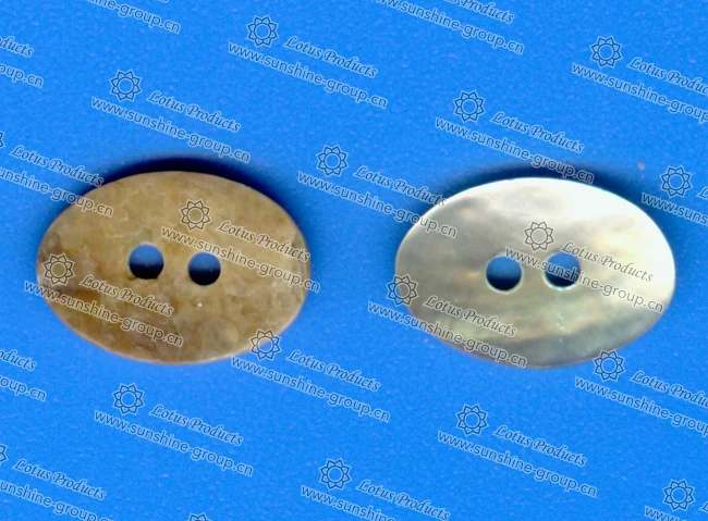 Ningbo sunshine import and export co., ltd. | abnormity shell button f