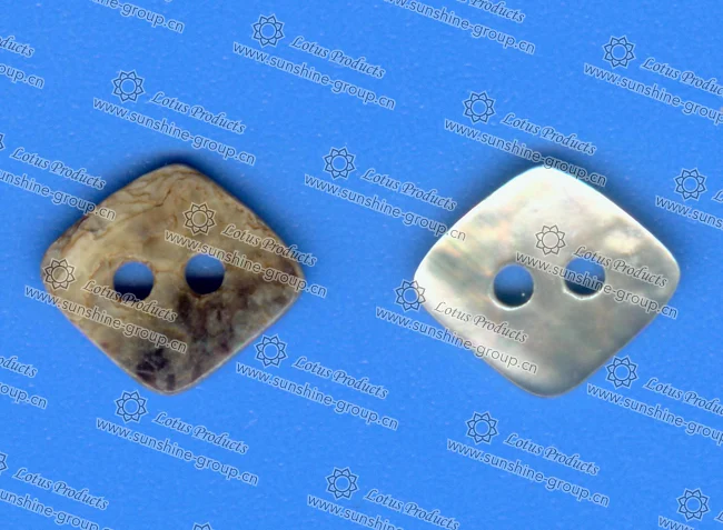 Ningbo sunshine import and export co., ltd. | abnormity shell button h