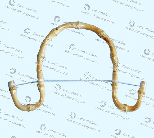Ningbo sunshine import and export co., ltd. | bamboo handle (5)