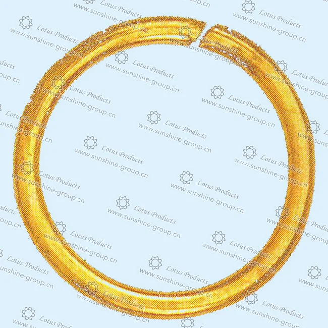 Ningbo sunshine import and export co., ltd. | d ring (3)