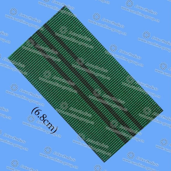Ningbo sunshine import and export co., ltd. | new type polyester webbing strap, sofa elastic webbing belt