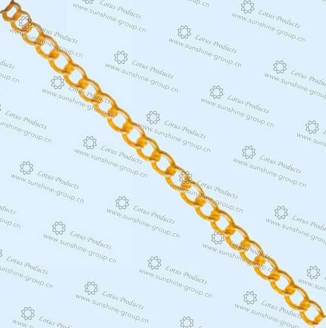 Ningbo sunshine import and export co., ltd. | metal chains (2)