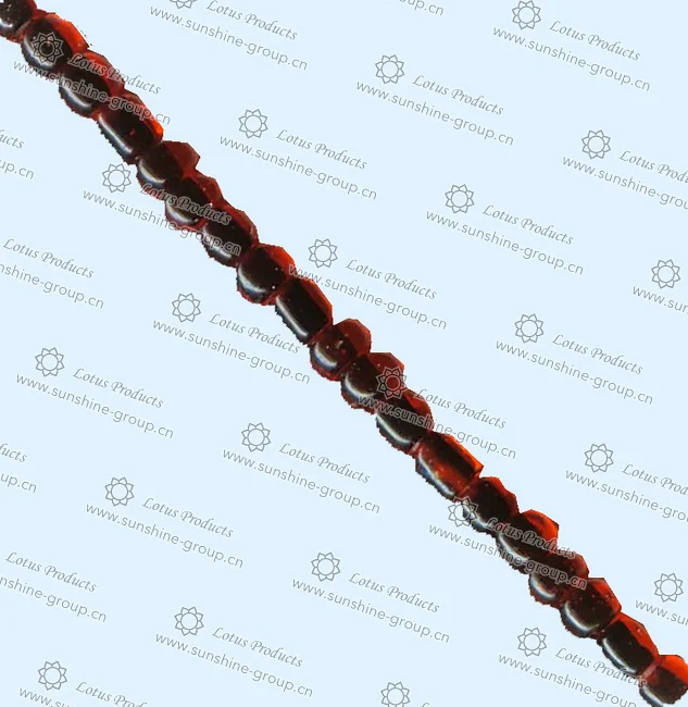Ningbo sunshine import and export co., ltd. | inside colours 310