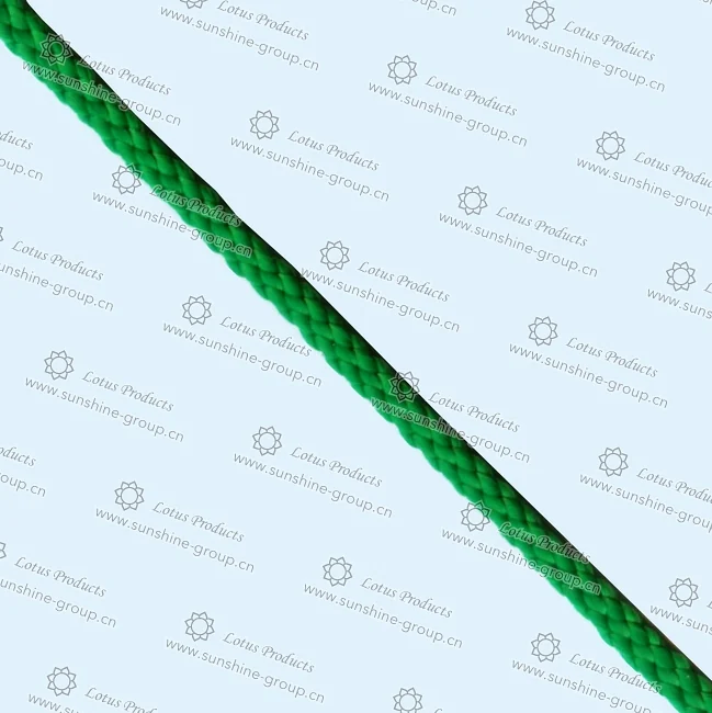 Ningbo sunshine import and export co., ltd. | cotton rope - 169