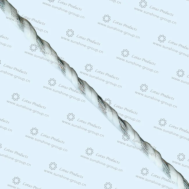 Ningbo sunshine import and export co., ltd. | metallic yarn rope - 312