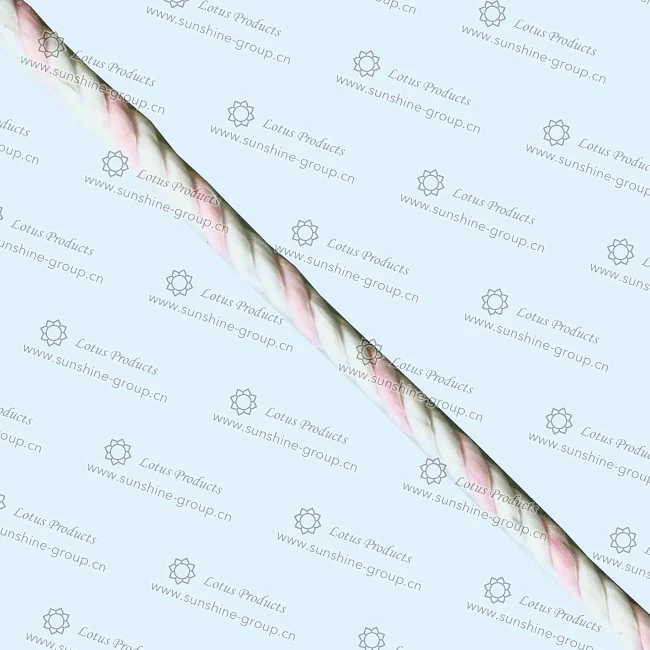 Ningbo sunshine import and export co., ltd. | twist cord (42)