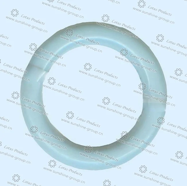 Ningbo sunshine import and export co., ltd. | bra adjuster (47)