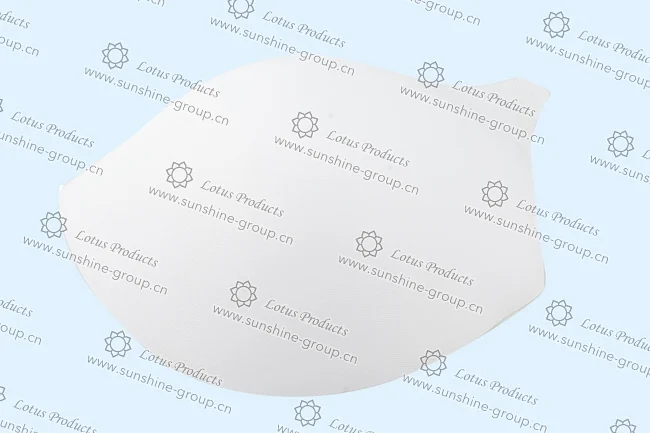 Ningbo sunshine import and export co., ltd. | bra cup (1)