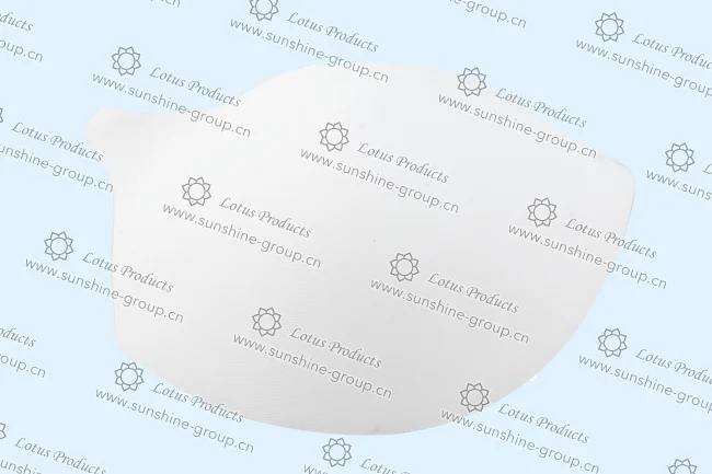Ningbo sunshine import and export co., ltd. | bra cup (2)