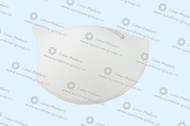 Ningbo sunshine import and export co., ltd. | bra cup (4)