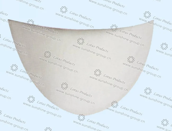 Ningbo sunshine import and export co., ltd. | bra cup (10)