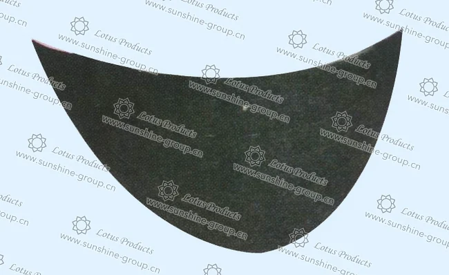 Ningbo sunshine import and export co., ltd. | bra cup (12)