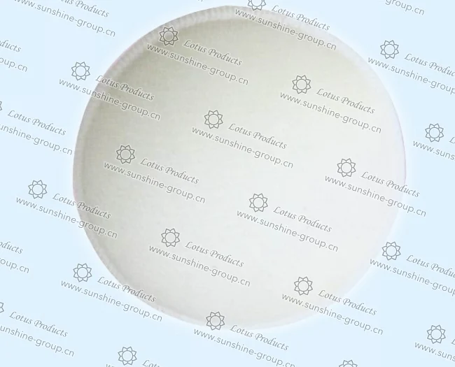Ningbo sunshine import and export co., ltd. | bra cup (14)