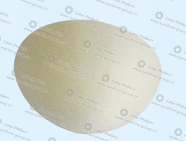 Ningbo sunshine import and export co., ltd. | bra cup (16)