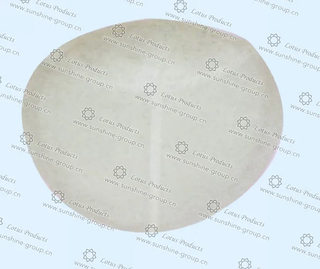 Ningbo sunshine import and export co., ltd. | bra cup (17)